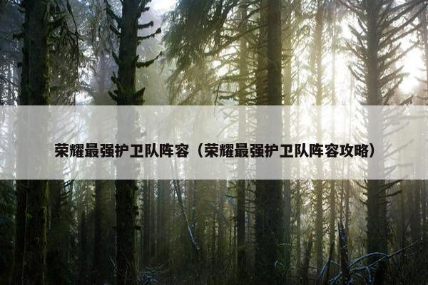 荣耀最强护卫队阵容（荣耀最强护卫队阵容攻略）