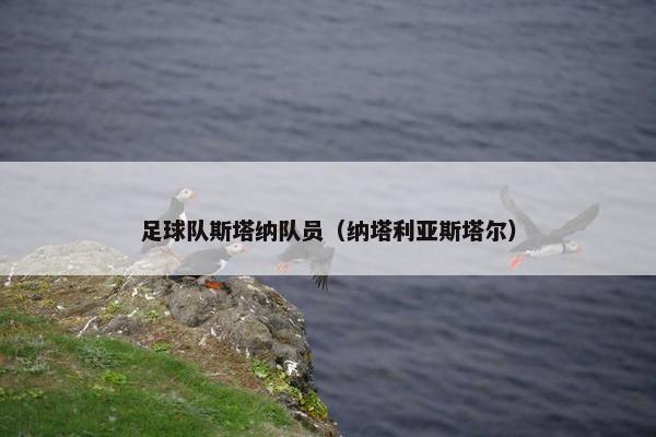 足球队斯塔纳队员（纳塔利亚斯塔尔）