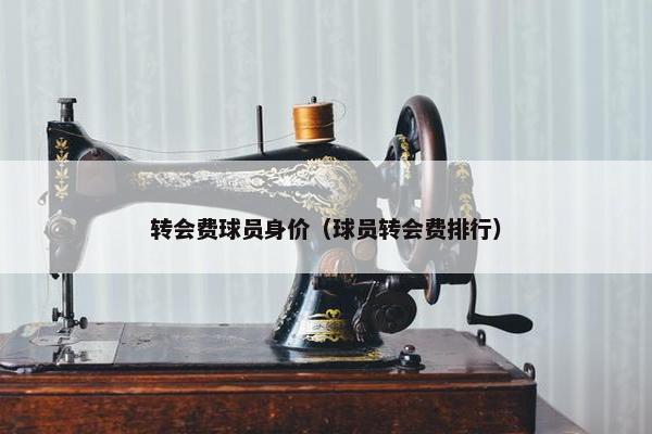 转会费球员身价（球员转会费排行）