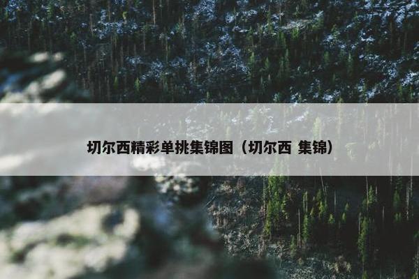 切尔西精彩单挑集锦图（切尔西 集锦）