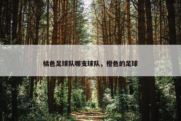 橘色足球队哪支球队，橙色的足球