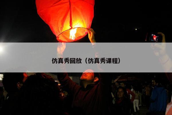 仿真秀回放（仿真秀课程）