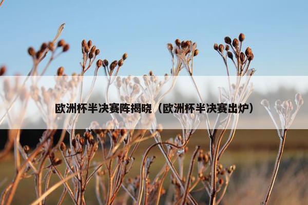欧洲杯半决赛阵揭晓（欧洲杯半决赛出炉）