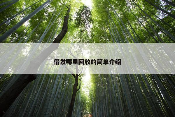 借发哪里回放的简单介绍