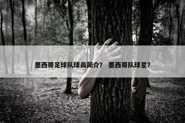 墨西哥足球队球员简介？ 墨西哥队球星？
