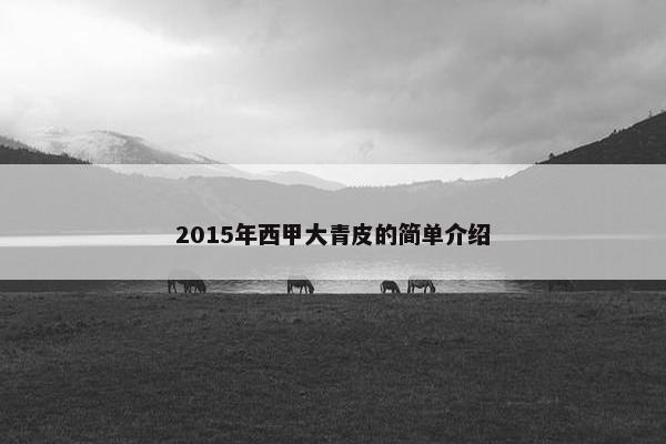 2015年西甲大青皮的简单介绍