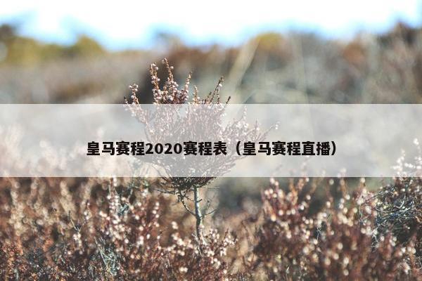 皇马赛程2020赛程表（皇马赛程直播）