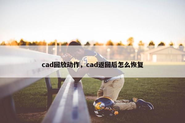 cad回放动作，cad返回后怎么恢复