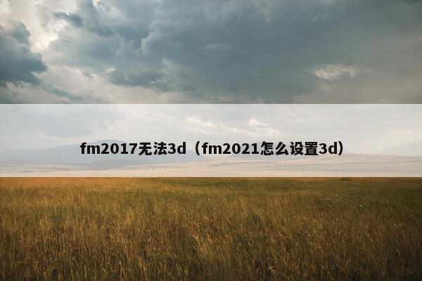 fm2017无法3d（fm2021怎么设置3d）
