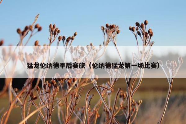 猛龙伦纳德季后赛旅（伦纳德猛龙第一场比赛）
