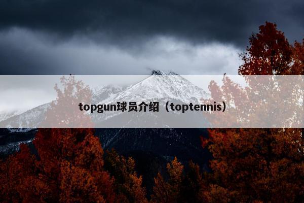 topgun球员介绍（toptennis）