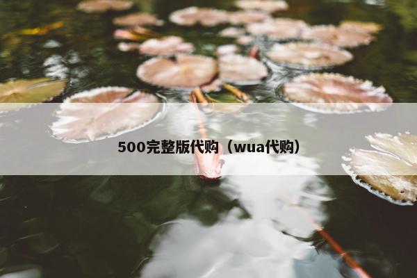 500完整版代购（wua代购）