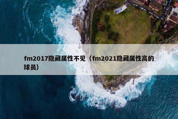 fm2017隐藏属性不见（fm2021隐藏属性高的球员）