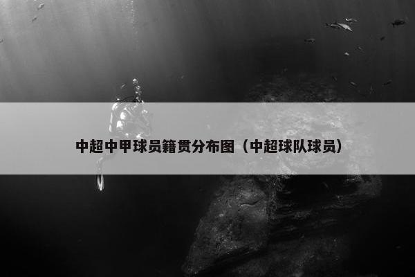 中超中甲球员籍贯分布图（中超球队球员）