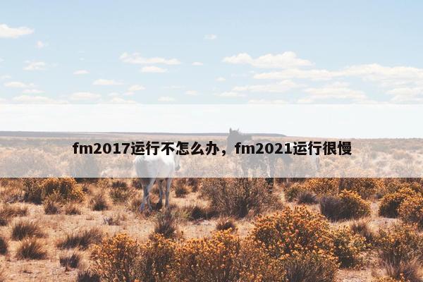 fm2017运行不怎么办，fm2021运行很慢