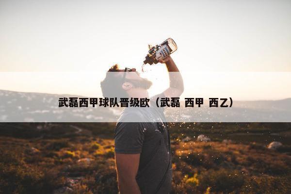 武磊西甲球队晋级欧（武磊 西甲 西乙）