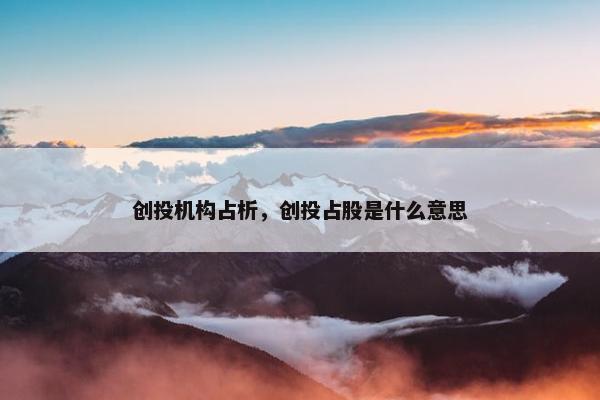创投机构占析，创投占股是什么意思