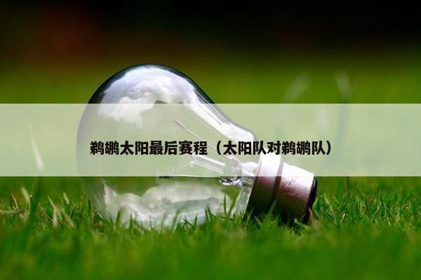 鹈鹕太阳最后赛程（太阳队对鹈鹕队）