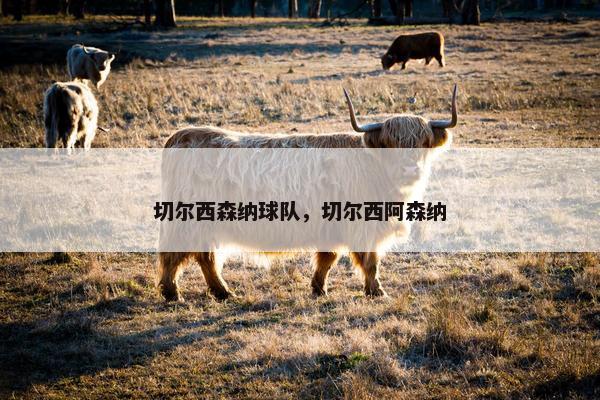 切尔西森纳球队，切尔西阿森纳