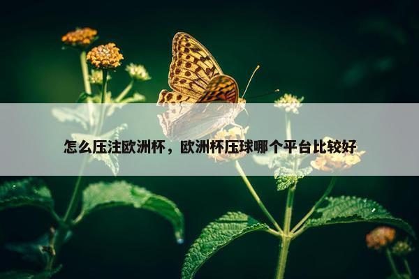 怎么压注欧洲杯，欧洲杯压球哪个平台比较好
