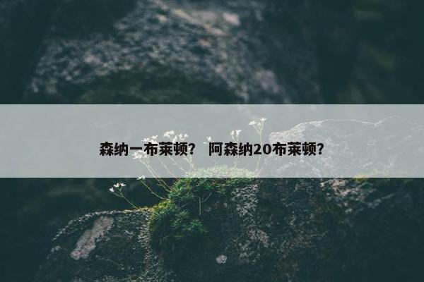 森纳一布莱顿？ 阿森纳20布莱顿？