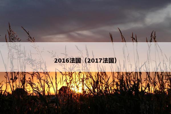 2016法国（2017法国）