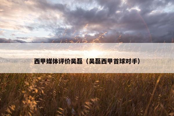西甲媒体评价吴磊（吴磊西甲首球对手）