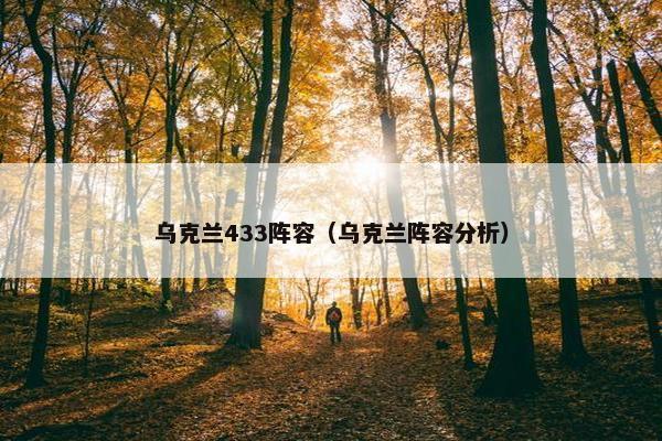 乌克兰433阵容（乌克兰阵容分析）