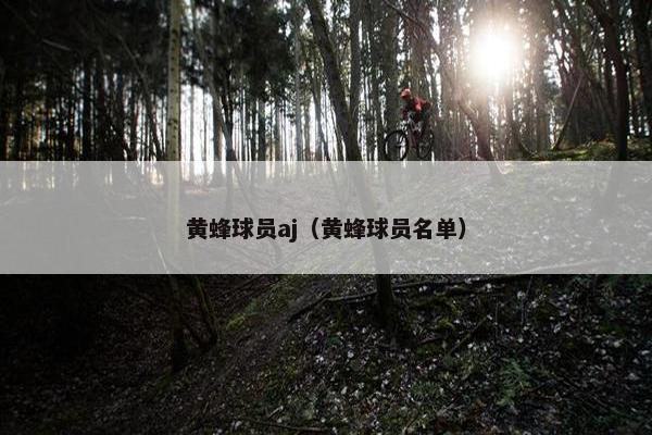 黄蜂球员aj（黄蜂球员名单）