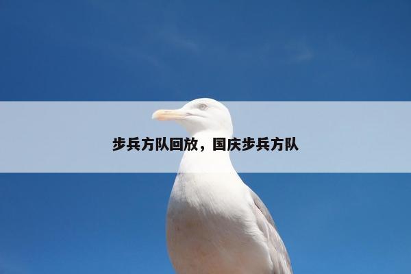 步兵方队回放，国庆步兵方队
