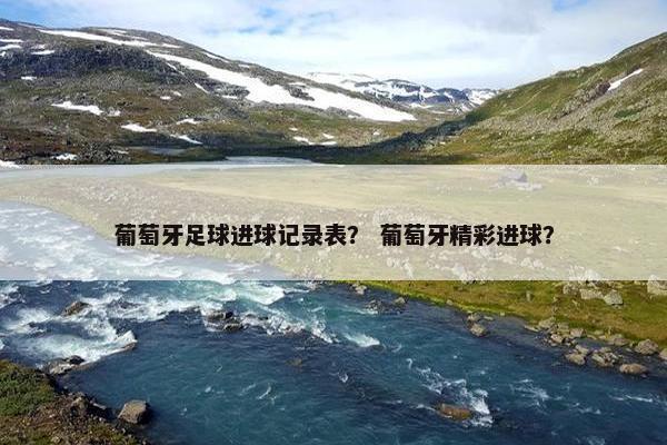 葡萄牙足球进球记录表？ 葡萄牙精彩进球？