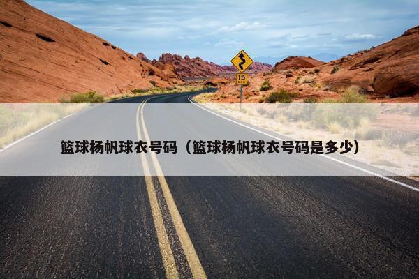 篮球杨帆球衣号码（篮球杨帆球衣号码是多少）
