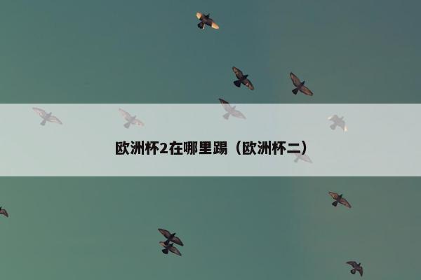 欧洲杯2在哪里踢（欧洲杯二）