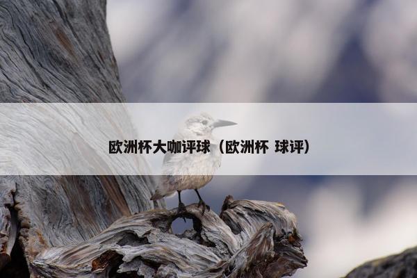 欧洲杯大咖评球（欧洲杯 球评）