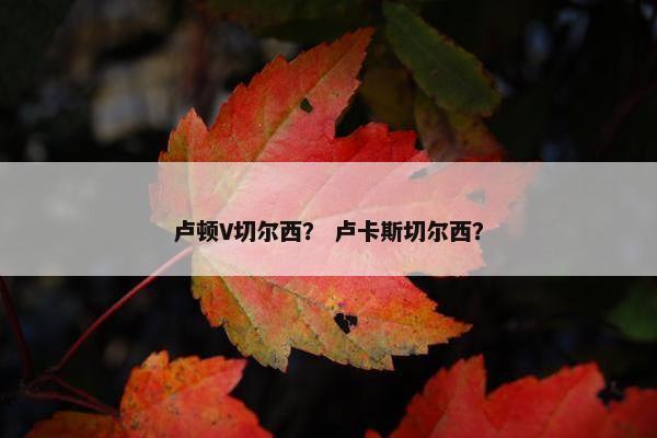 卢顿V切尔西？ 卢卡斯切尔西？