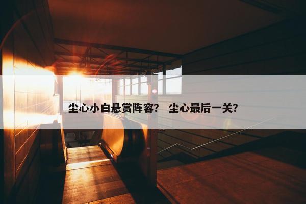 尘心小白悬赏阵容？ 尘心最后一关？