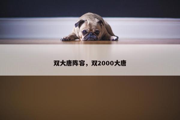 双大唐阵容，双2000大唐