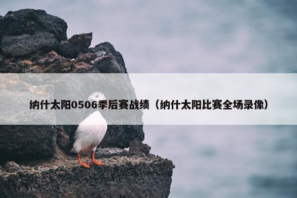 纳什太阳0506季后赛战绩（纳什太阳比赛全场录像）