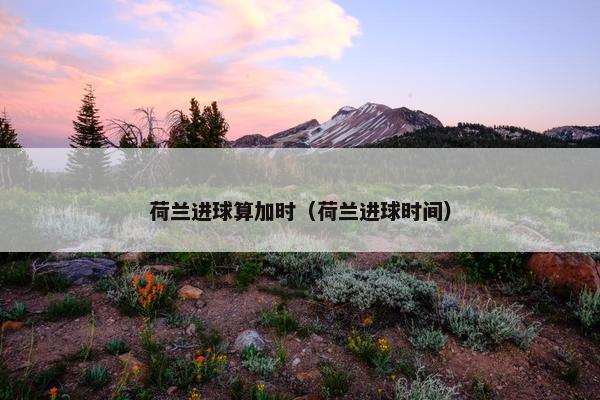 荷兰进球算加时（荷兰进球时间）