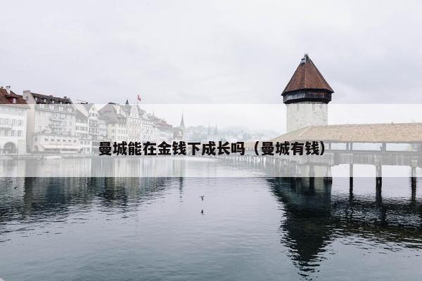曼城能在金钱下成长吗（曼城有钱）