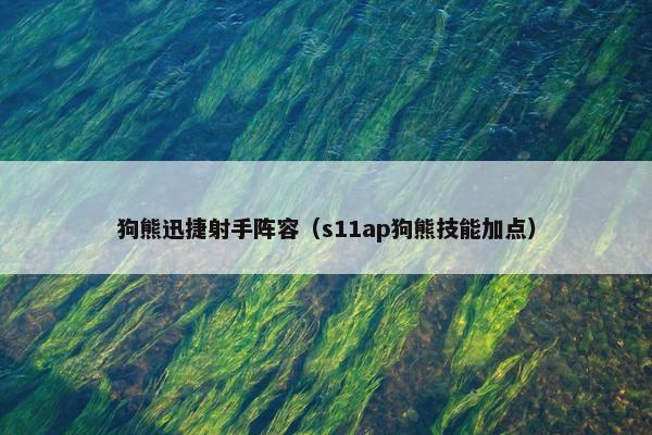 狗熊迅捷射手阵容（s11ap狗熊技能加点）