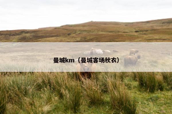 曼城km（曼城客场秋衣）