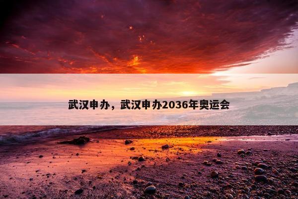 武汉申办，武汉申办2036年奥运会