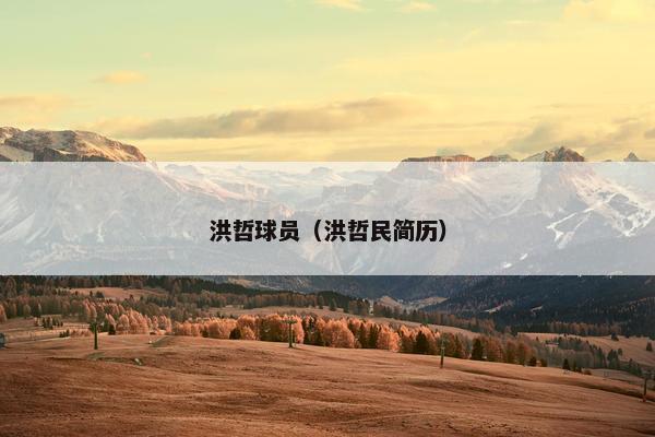 洪哲球员（洪哲民简历）