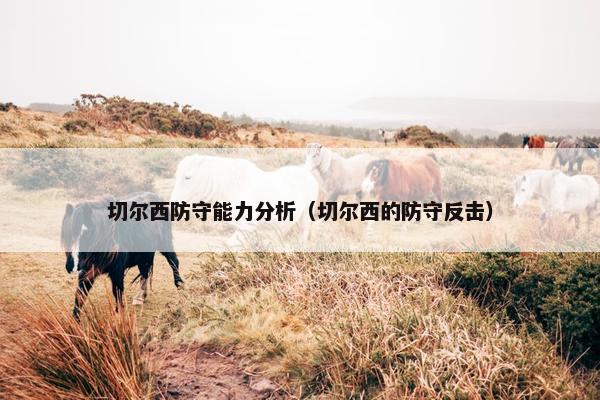 切尔西防守能力分析（切尔西的防守反击）