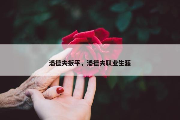 潘德夫扳平，潘德夫职业生涯