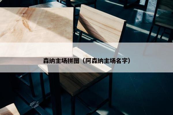 森纳主场拼图（阿森纳主场名字）