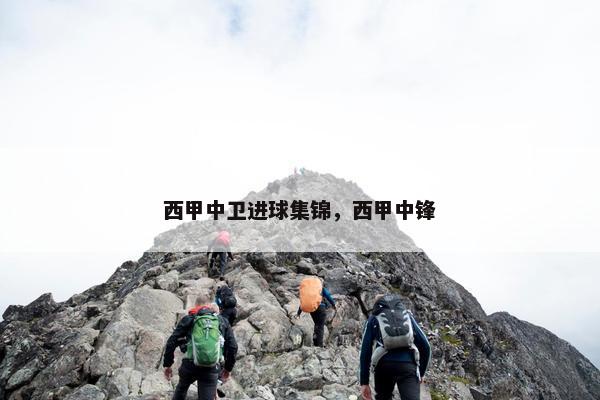 西甲中卫进球集锦，西甲中锋