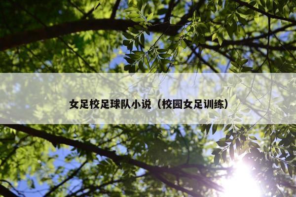 女足校足球队小说（校园女足训练）