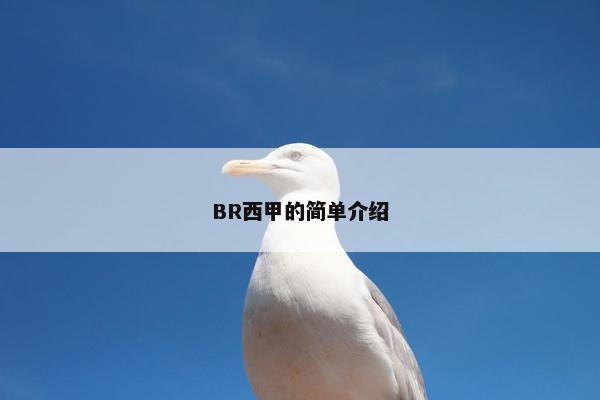 BR西甲的简单介绍